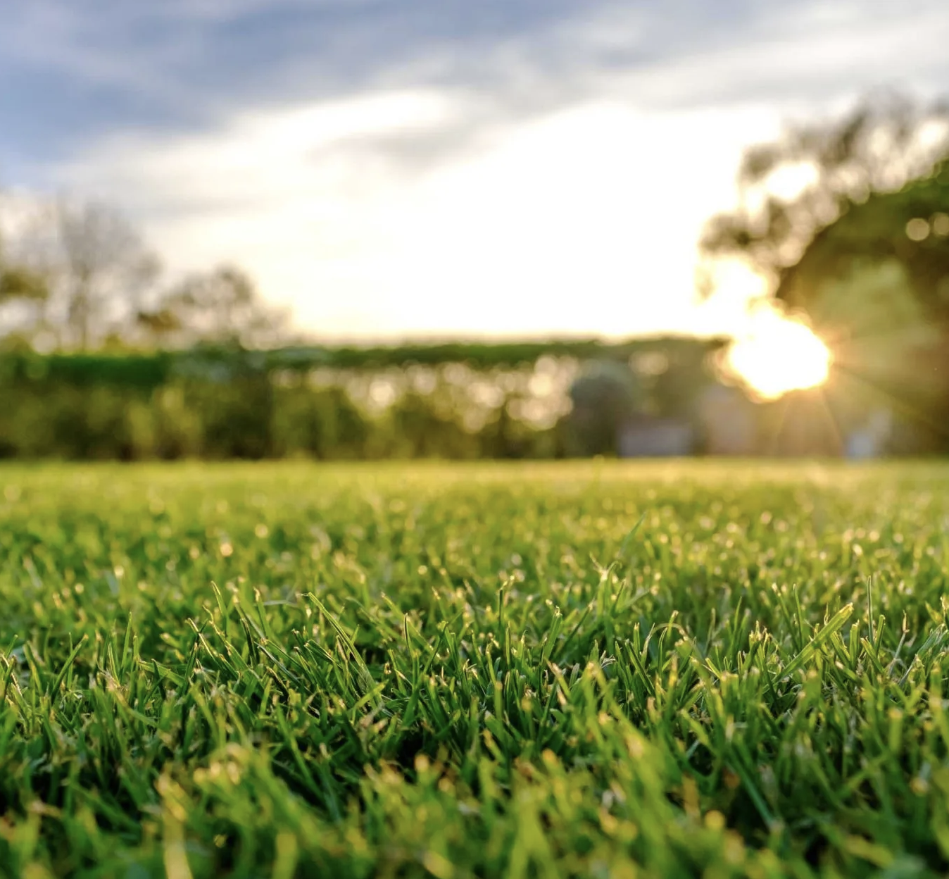 Getting Ready for Spring Lawn Care: A Complete Guide